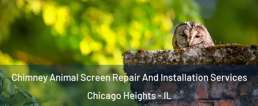  Chimney Animal Screen Repair And Installation Services Chicago Heights - IL