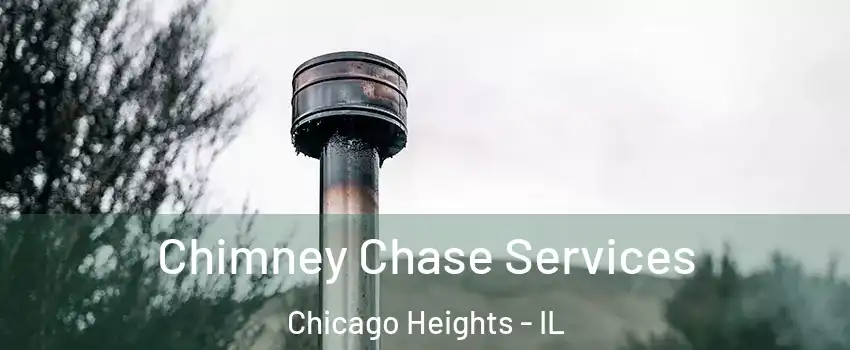  Chimney Chase Services Chicago Heights - IL