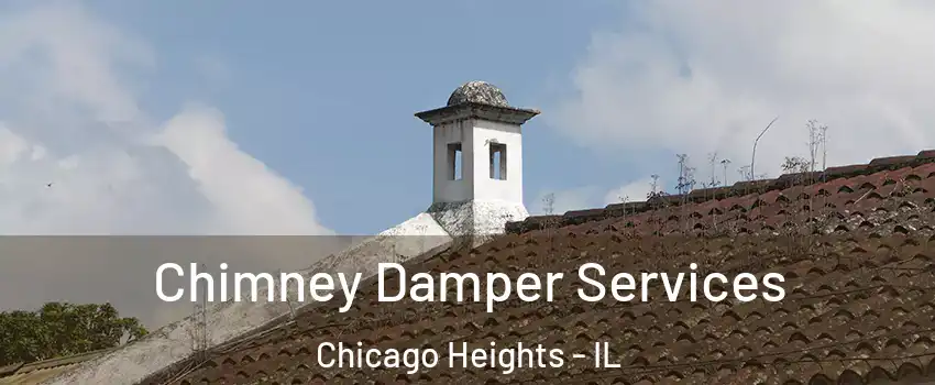  Chimney Damper Services Chicago Heights - IL