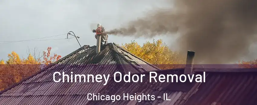  Chimney Odor Removal Chicago Heights - IL