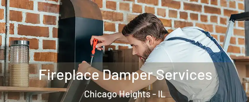  Fireplace Damper Services Chicago Heights - IL