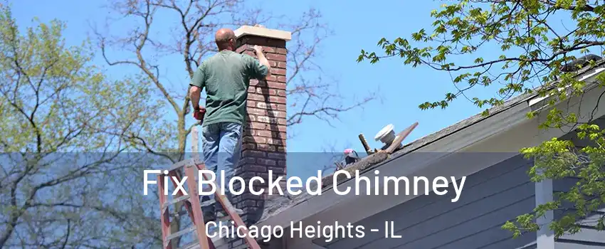  Fix Blocked Chimney Chicago Heights - IL