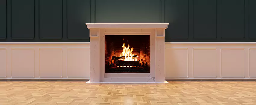 Napoleon Electric Fireplaces Inspection Service in Chicago Heights, Illinois