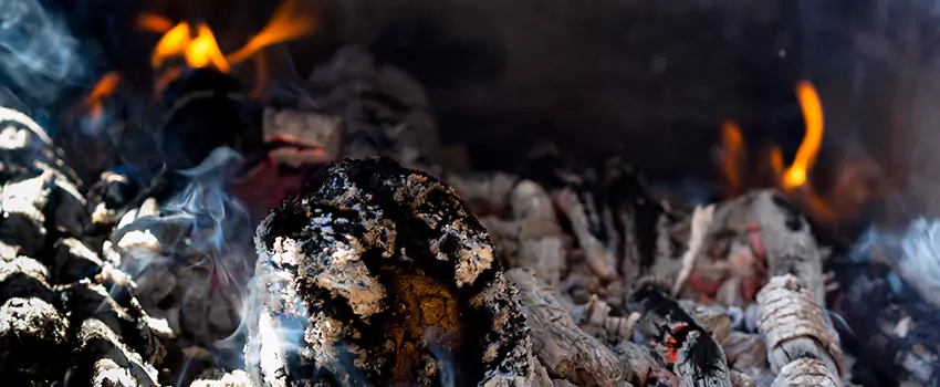 Creosote Removal Experts in Chicago Heights, IL