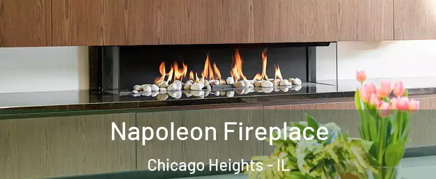  Napoleon Fireplace Chicago Heights - IL