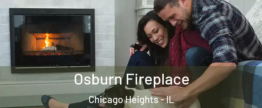  Osburn Fireplace Chicago Heights - IL